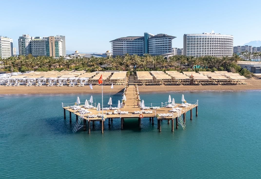 رویال وینگز